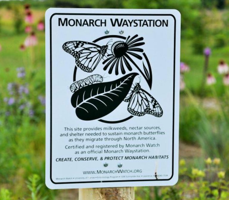 Monarch Waystation Sign