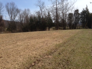 The field is mowed once a year in spring to suppress the woody vegetation.