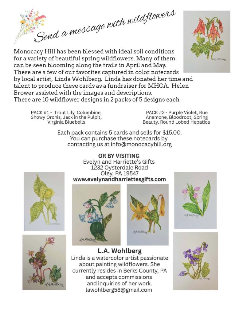 Monocacy Hill Newsletter Page 4