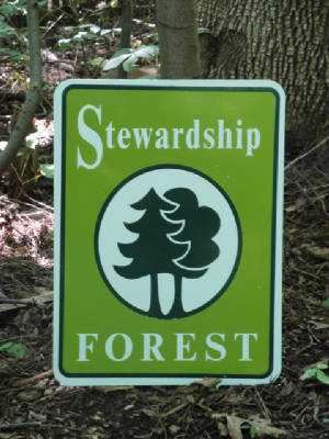 Stewardship Forest